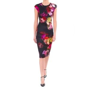 NWOT Ted Baker Floral Catina Cascading Floral Midi Dress Size 0